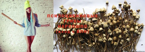 герыч Богородицк