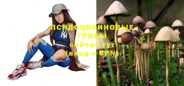 МДПВ Богданович