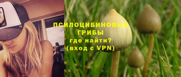 МДПВ Богданович