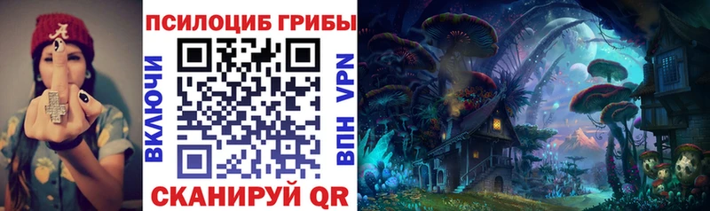 дарнет шоп  Невельск  Галлюциногенные грибы мицелий 